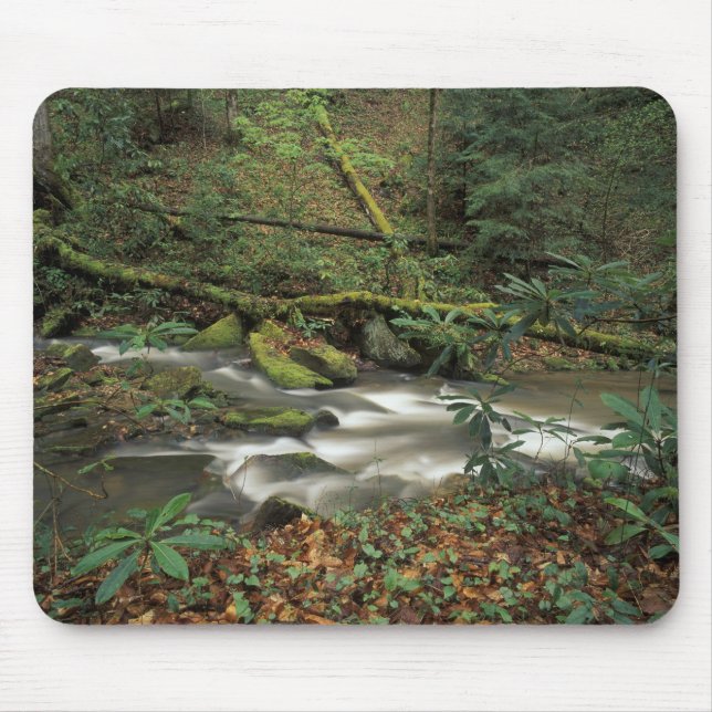 Mousepad EUA, Tennessee. Rio Grande do Sul (Frente)