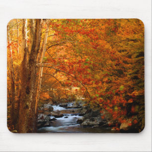 Mousepad EUA, Tennessee. Rushing Mountain Creek 2