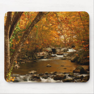 Mousepad EUA, Tennessee. Rushing Mountain Creek 3