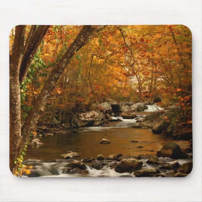 Mousepad EUA, Tennessee. Rushing Mountain Creek 3 (Frente)