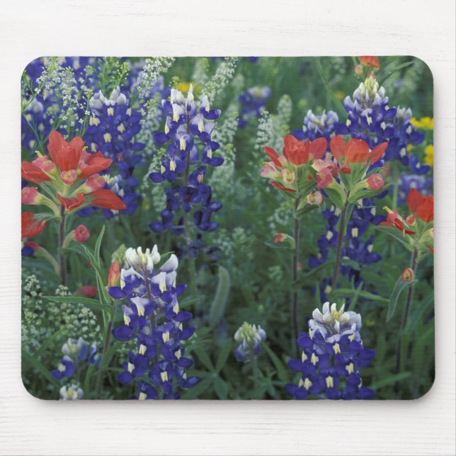 Mousepad EUA, Texas Hill Country. Bluebonnets e (Frente)