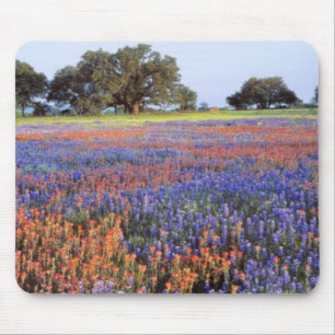 Mousepad EUA, Texas, Llano. Bluebonnets e redbonnets