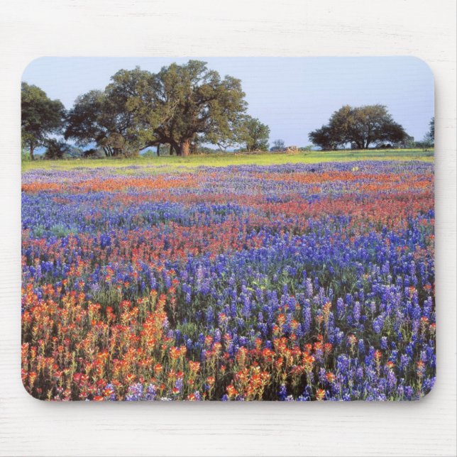 Mousepad EUA, Texas, Llano. Bluebonnets e redbonnets (Frente)