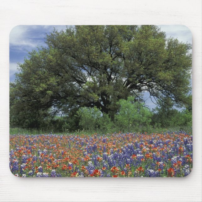 Mousepad EUA, Texas, Marble Falls Paintbrush e (Frente)