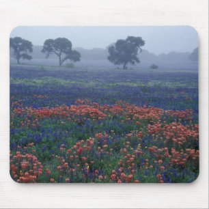 Mousepad EUA, Texas, perto de Lytle Fog, carvalhos, blue bo