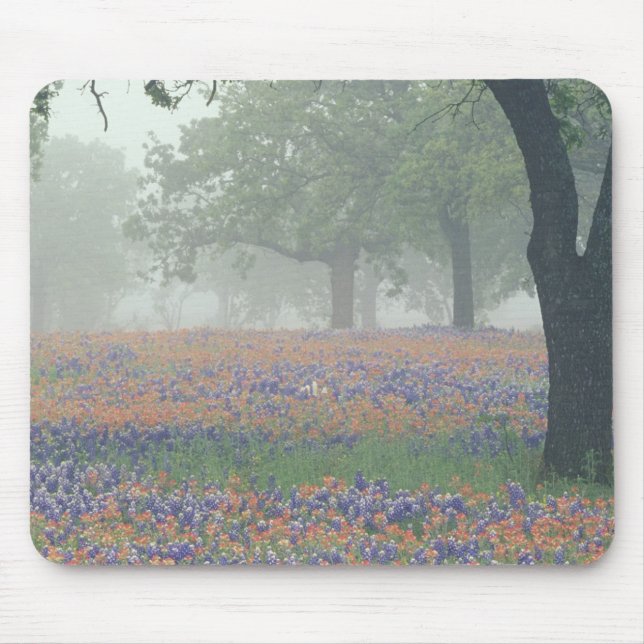 Mousepad EUA, Texas. Pincel de Texas e bluebonnets (Frente)