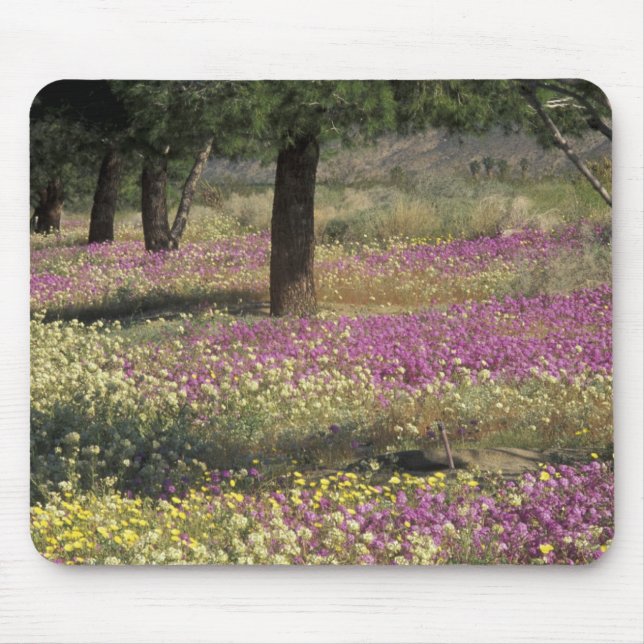 Mousepad EUA, Texas, Sand Verbena e Olhos Castanhos (Frente)