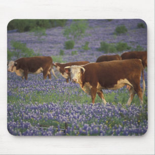 Mousepad EUA, Texas, Texas Hill Country, Hereford