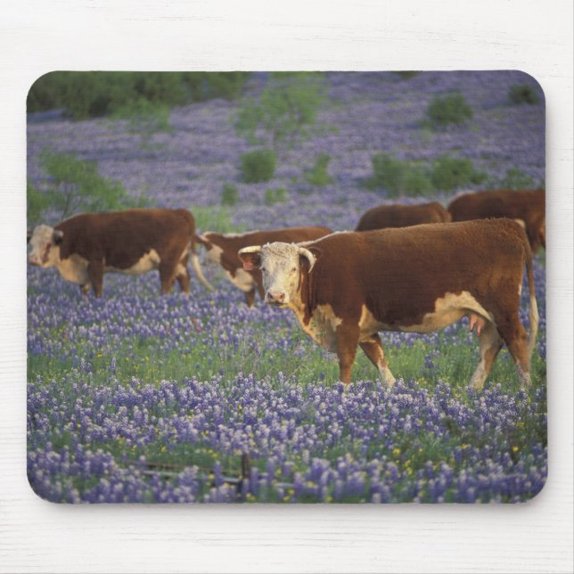 Mousepad EUA, Texas, Texas Hill Country, Hereford (Frente)