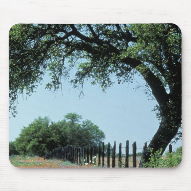 Mousepad EUA, Texas, Texas Hill Country Paintbrush e (Frente)