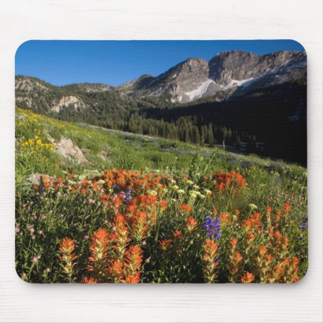 Mousepad EUA, Utah, Floresta Nacional Uinta-Wasatch-Cache (Frente)