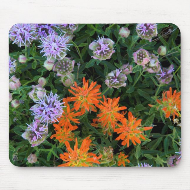 Mousepad EUA, Utah, Floresta Nacional Uinta-Wasatch-Cache 3 (Frente)