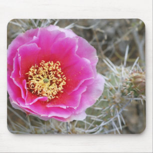 Mousepad EUA, Utah, Parque Nacional Canyonlands, Pera Espin