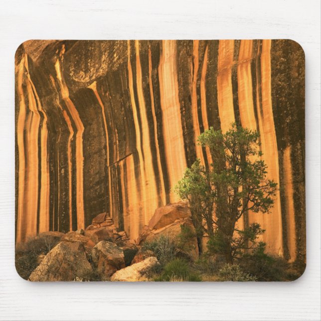 Mousepad EUA, Utah, Parque Nacional Capitol Reef (Frente)