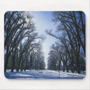 Mousepad EUA, Utah, Salt Lake City, Liberty Park,