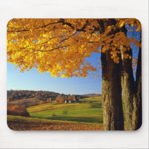 Mousepad EUA, Vermont. Fazenda Cênica perto de South Woodst
