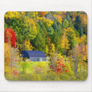 Mousepad EUA, Vermont. Folhagem de outono ao longo da rodov