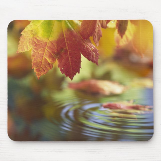Mousepad EUA, Washington, Bellingham, Close-up do outono (Frente)