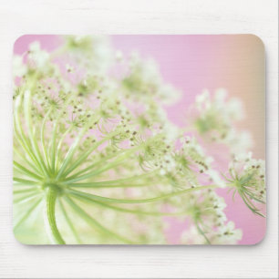 Mousepad EUA, Washington, close-up of vaca parsnip