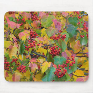 Mousepad EUA, Washington, Condado de Spokane, Folhas de Esp