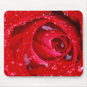 Mousepad EUA, Washington, Condado de Spokane, Manito Park