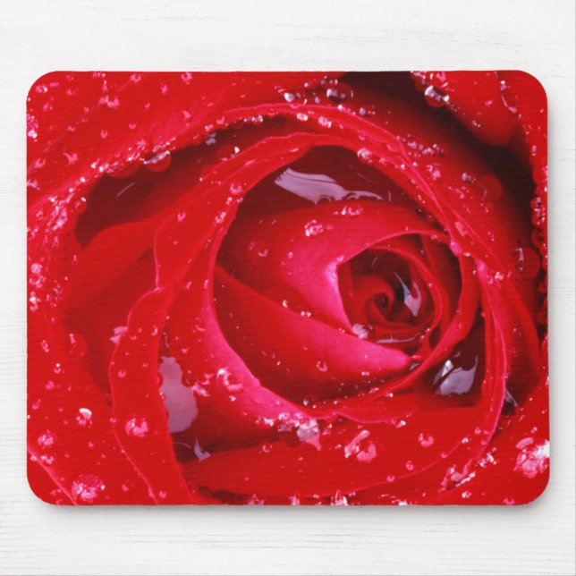 Mousepad EUA, Washington, Condado de Spokane, Parque Manito (Frente)
