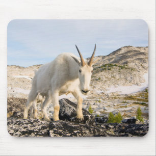 Mousepad EUA, Washington, Cordilheira das Cascatas 3