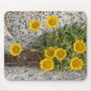 Mousepad EUA, Washington, Cordilheira das Cascatas 5