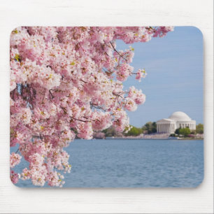 Mousepad EUA, Washington DC, árvore de cereja