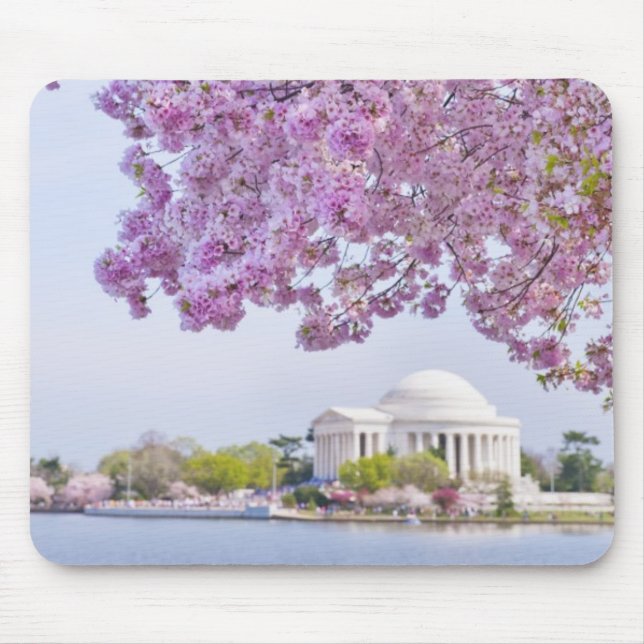 Mousepad EUA, Washington DC, árvore de cereja na flor (Frente)
