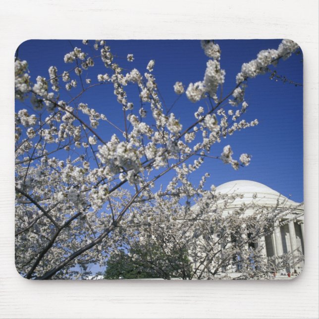 Mousepad EUA, Washington DC. Festival das Flores de Cerejei (Frente)