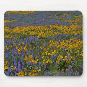 Mousepad EUA, Washington, Garganta do Rio Columbia Nacional