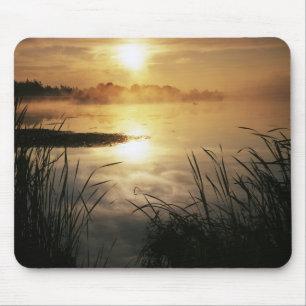 Mousepad EUA, Washington, Lopez Island, Nevoeiro da manhã e