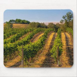 Mousepad EUA, Washington Oriental, Vinhas Walla Walla