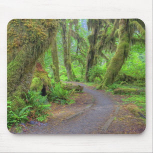 Mousepad EUA, Washington, Parque Nacional Olímpico, Hoh 2