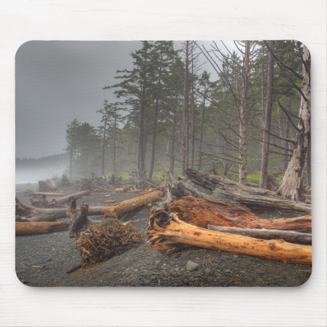 Mousepad EUA, Washington, Parque Nacional Olímpico, Rialto (Frente)