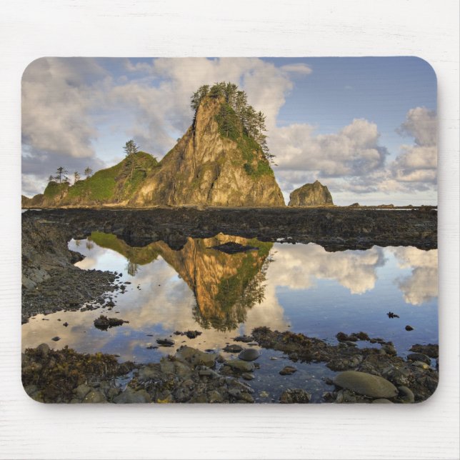 Mousepad EUA, Washington, Parque Nacional Olímpico.  Um (Frente)