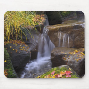 Mousepad EUA, Washington, Seattle