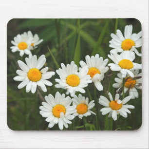 Mousepad EUA, Washington, Seattle, Puget Sound 3