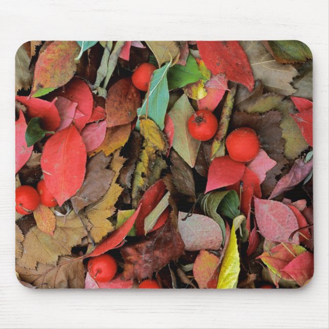 Mousepad EUA, Washington, Spokane Co., Hawthorn Leaves (Frente)