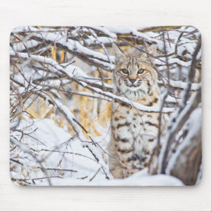 Mousepad EUA, Wyoming, Bobcat