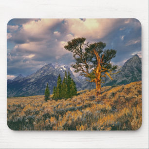Mousepad EUA, Wyoming, Grand Teton NP. O nascer do sol cump