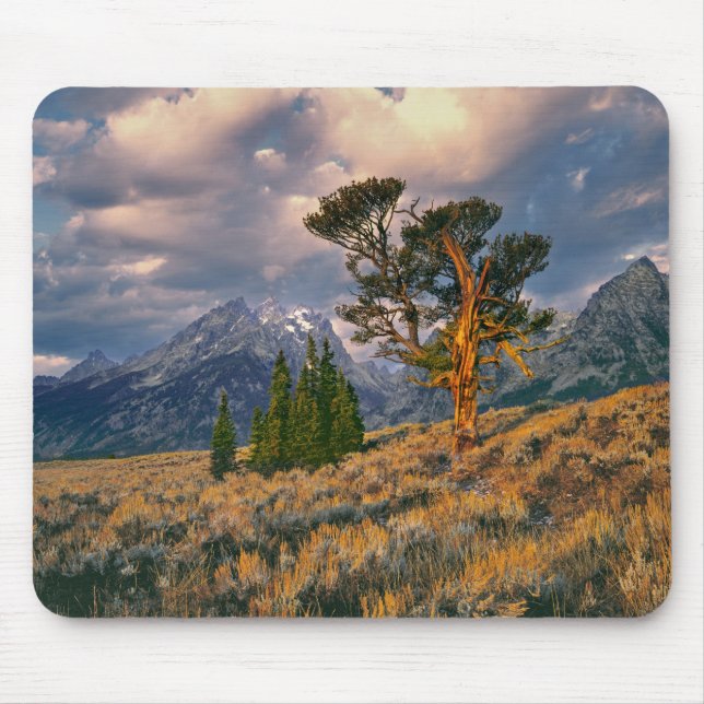 Mousepad EUA, Wyoming, Grand Teton NP. O nascer do sol saúd (Frente)