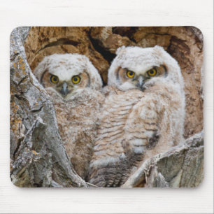 Mousepad EUA, Wyoming, Parque Nacional Grand Teton