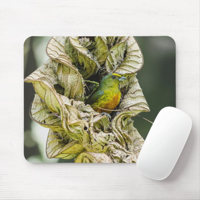 Mousepad Eufonia, Fotografia Aviária da Vida Selvagem, Apoi (Com mouse)