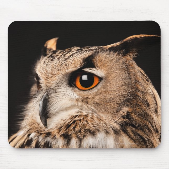 Mousepad Eurasian Eagle Owl (Frente)