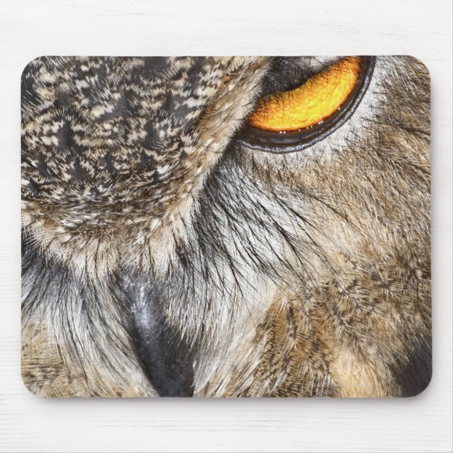 Mousepad Eurasian Eagle Owl (Bubo bubo) (Frente)