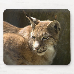 Mousepad Eurasian Lynx