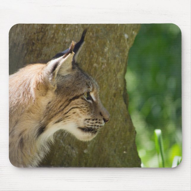 Mousepad Eurasian Lynx (Frente)