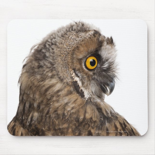 Mousepad Eurasian Scop-owl - Otus scop (2 meses de idade) (Frente)